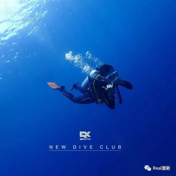 越过篱笆